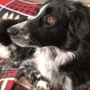 Meet your Posher, Miranda